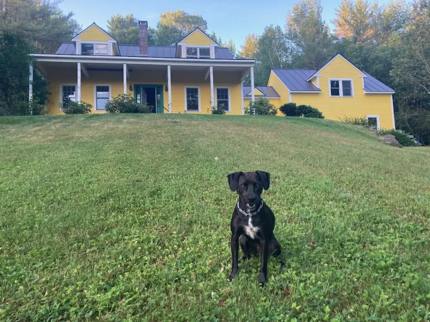 Private Retreat in Woodstock, 21 Acres, Views, Dog-friendly - Image 1