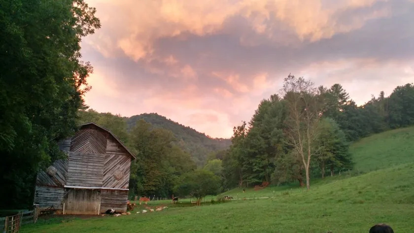 The Cottage In Quiver Full Farm - Image 1