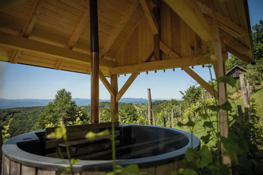 Vineyard cottage Škatlar 3 - Image 1