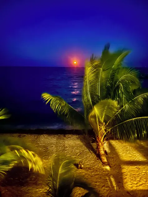 Finca Beachfront Tree house - Image 1