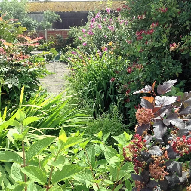 4 star tourist board rated. Truly rural, on a farm. Pet friendly. Peaceful area. - Image 1