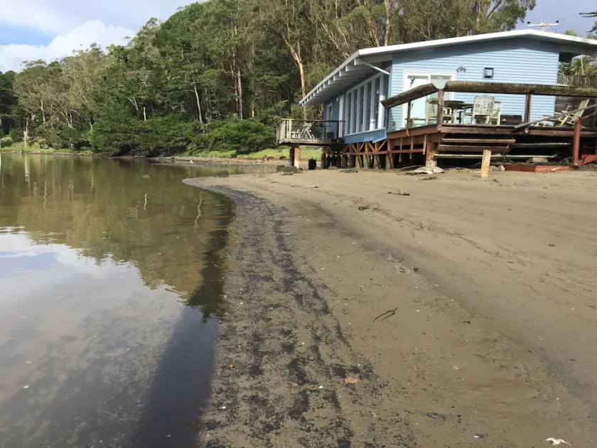 Joe Studio auf Tomales Bay, Bleu Bay Cove, Marshall, Pt Reyes National Park - Image 1