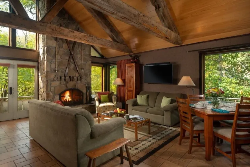 Riverside Chalet Plus - Image 1