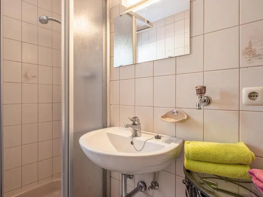 Beau logement pour groupes, 240m du téléski - Image 1