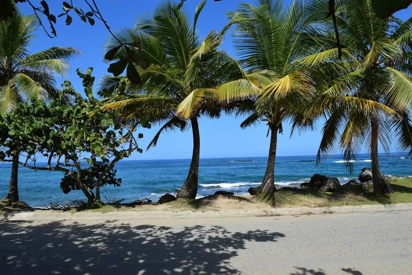 Relaxed Oceanfront home on quiet palm fringed Beach with large Oceanfront patio - Image 1