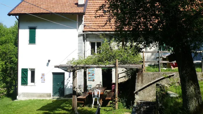 House in the Forest Purple (CITRA Code 009063-LT-0016) - Image 1