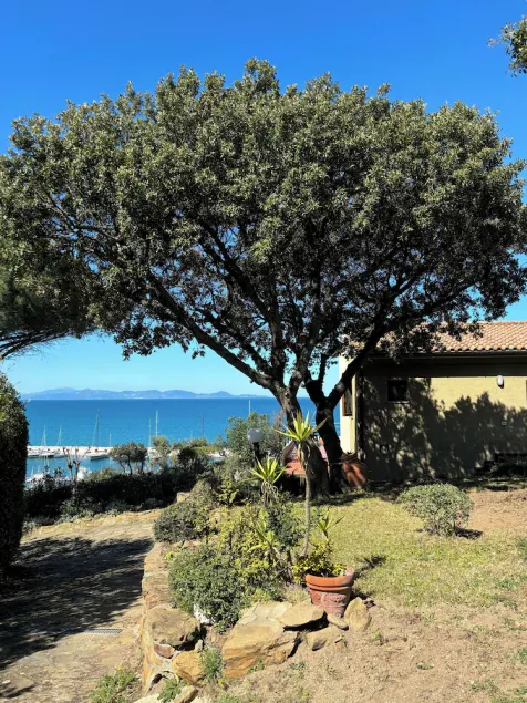 House / Villa - Punta Ala - Image 1