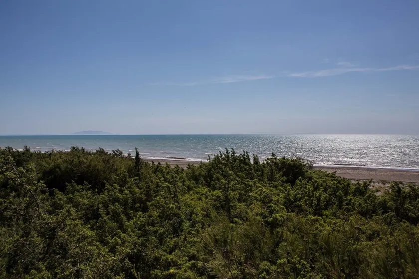Privat adgang til stranden - Toscana - Image 1