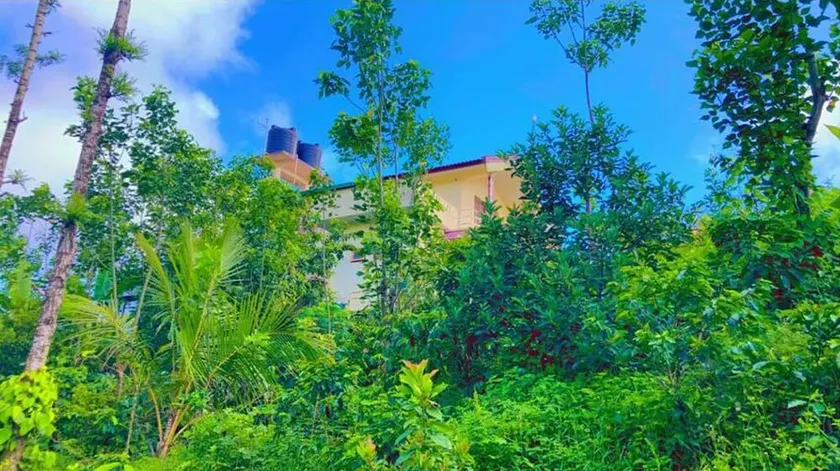 View point homestay Coorg !! - Image 1