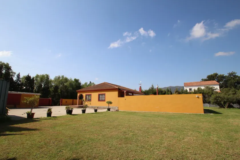 Entre laranjeiras, fazenda rural - Image 1