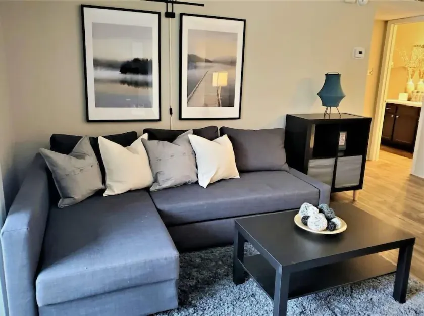 Cozy One Bedroom, Washer Dryer, Central Location,  Fireplace, Monthly Discounts - Image 1