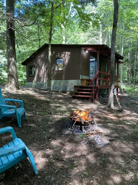 Cute cabin in the woods - Image 1