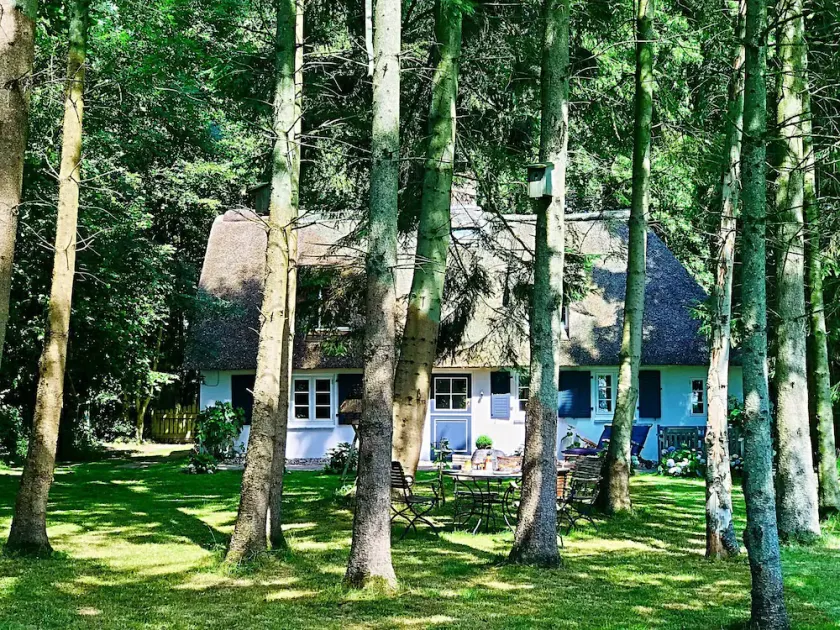 Ferienhaus \"küstenwäldchen\" in Rabenkirchen-faulück - Image 1