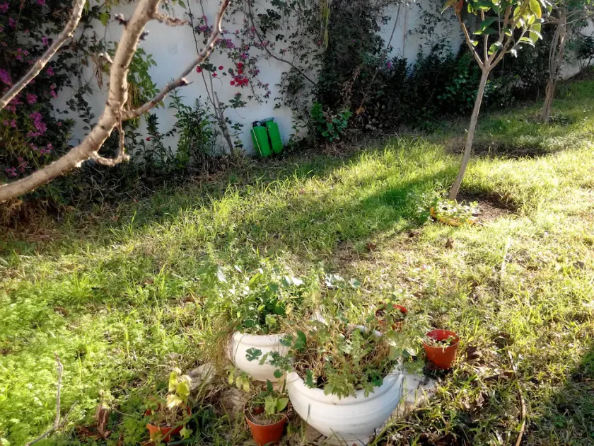 Wohnung in Luxus-Villa - Image 1