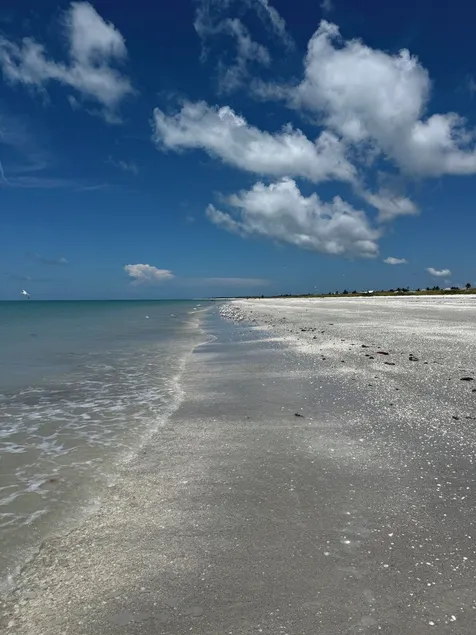 Sleeps 10 - Available Year Round -  Huge Private Home - Image 1