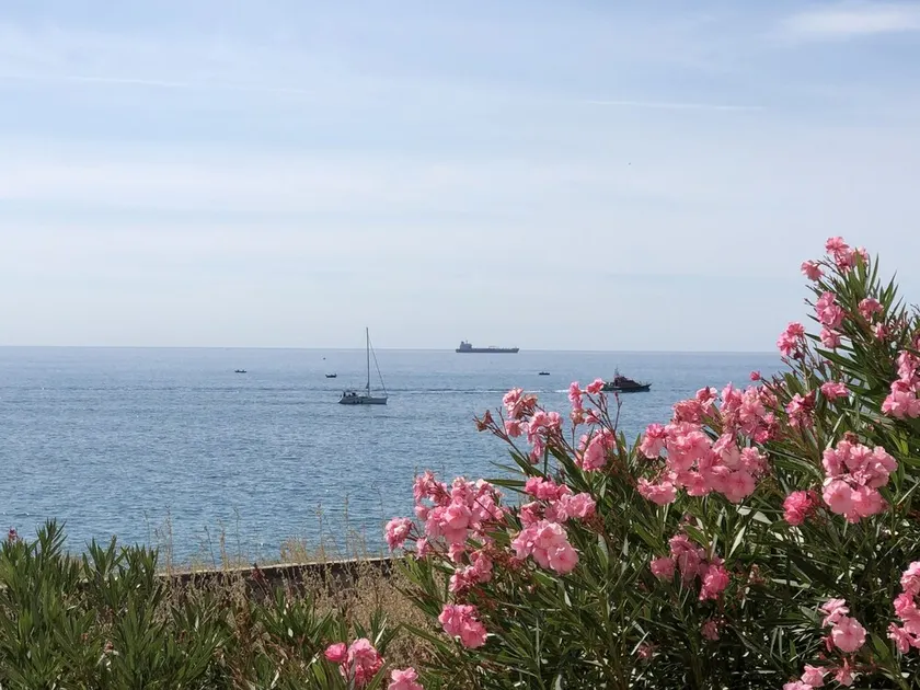 Apartment near port, town center and beaches. - Image 1