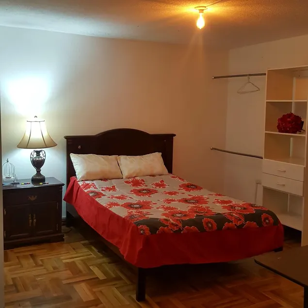 Nuevo Apartamento, Reconditioned Apartment, 70 Mts, second Floor - Image 1