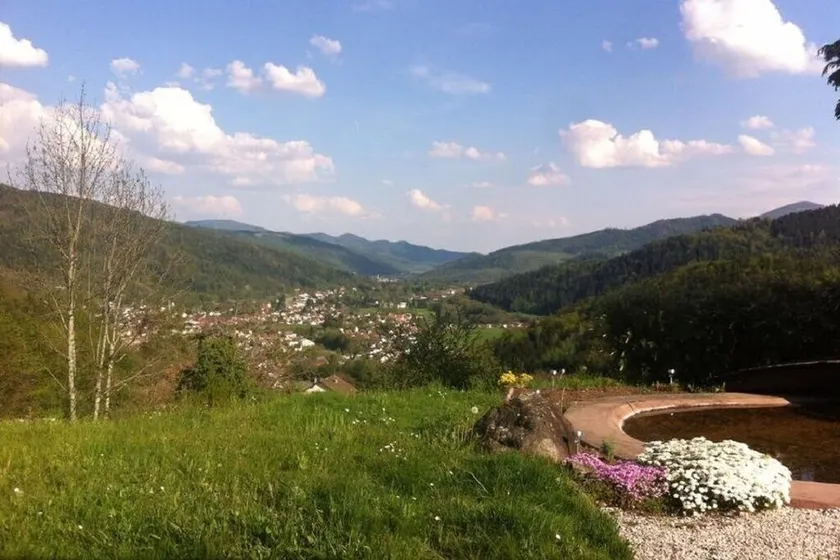 House with all comforts with a breathtaking view of the Vosges - Image 1