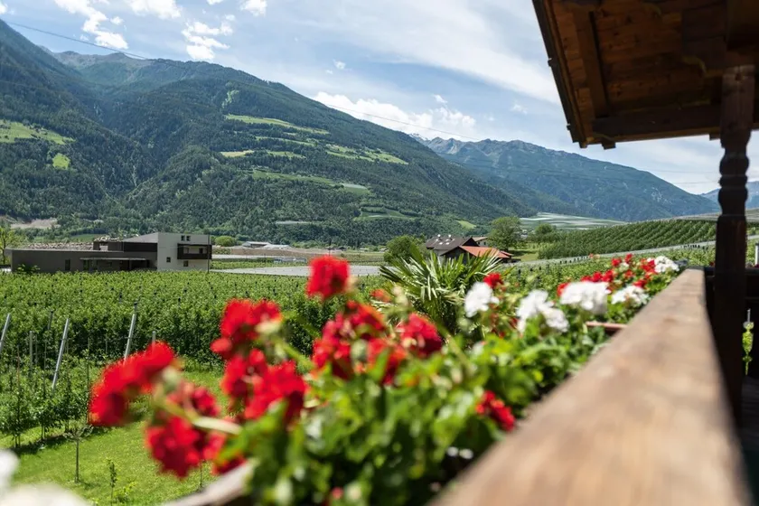 Gemütliche Ferienwohnung \"Pixnerhof - Gala\" auf einem Bauernhof mit WLAN & Bergblick - Image 1
