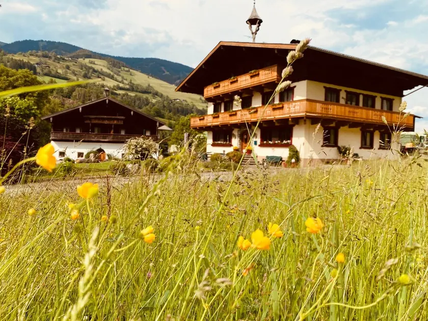Maison de vacances Wolfbachgut - Image 1