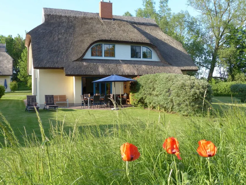 Comfortable thatched house Eibe 1 Sauna Fireplace Wallbox - DHH Eibe 1 - Image 1