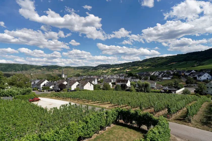 Ferienwohnung \"laurentiusblick\" mit Panoramablick in den Weinbergen von Leiwen - Image 1