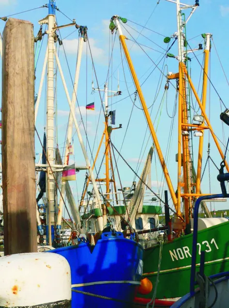 Peace and relaxation in healthy North Sea air - family-friendly - Fewo MARINA - Image 1