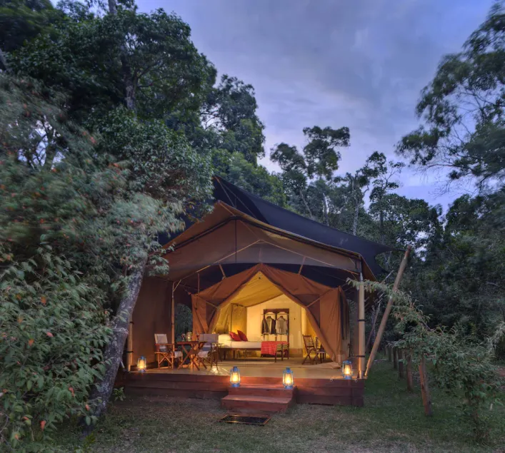 Elewana Elephant Pepper Camp - Image 1