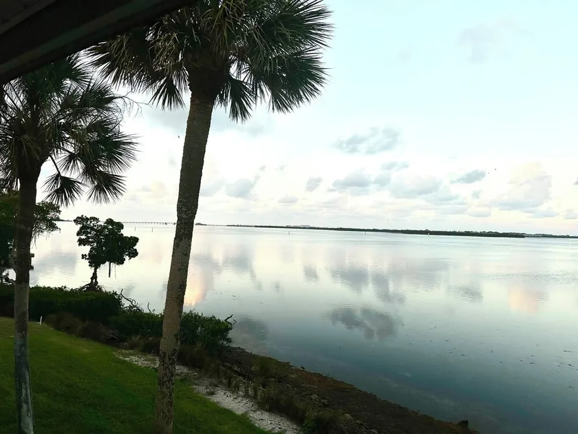 Spectacular Bay View - Bird Watching and Dolphin Spotting - Image 1