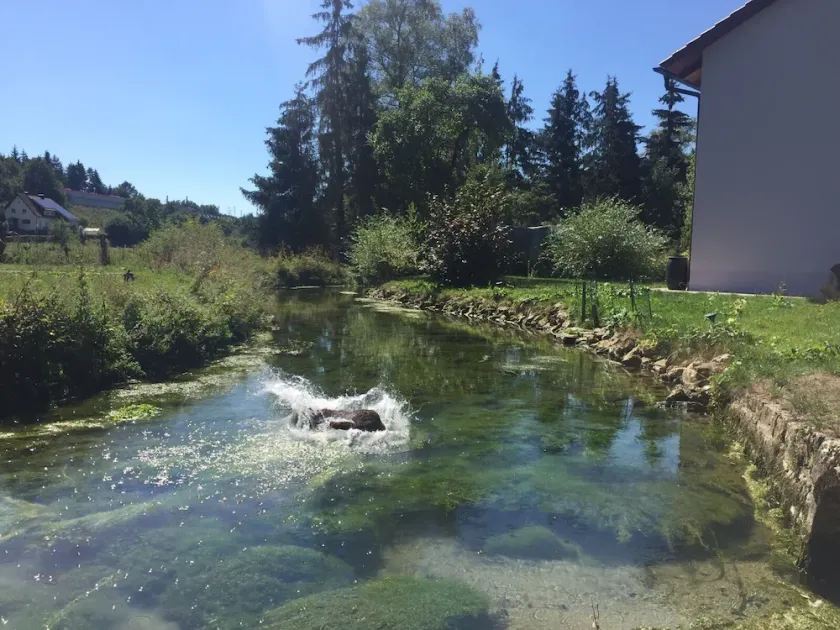 Vacation home in the idyllic Möhrenbach valley near Treuchtlingen/Weißenburg - Image 1