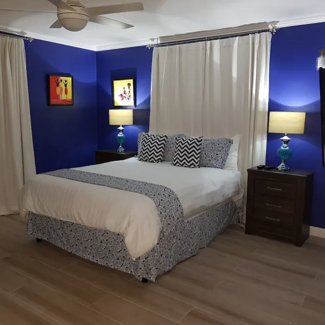 Newly Renovated 2bed/2bath New Kingston Apartment Very cozy and Convenient - Image 1