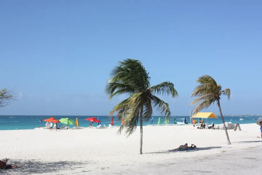 Le Vent - SEABREEZE - BeachSide Resort Eagle Beach - Image 1