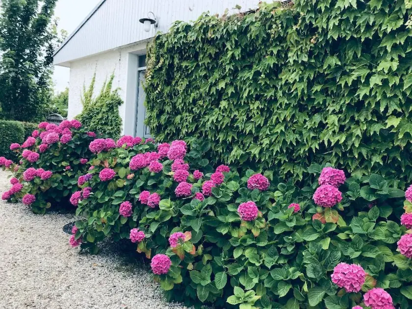 Maison familiale, avec jardin à Cabourg. - Image 1