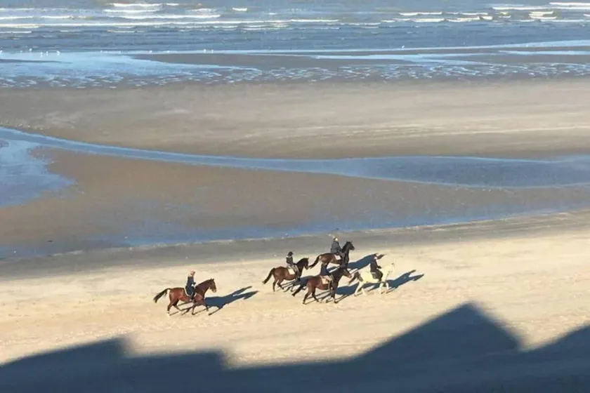 Entre dunes et mer - Image 1