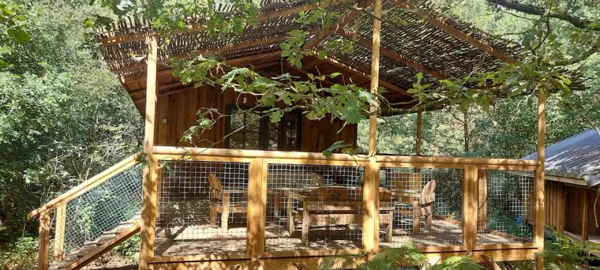 Cap Town cabin in the forest - Image 1