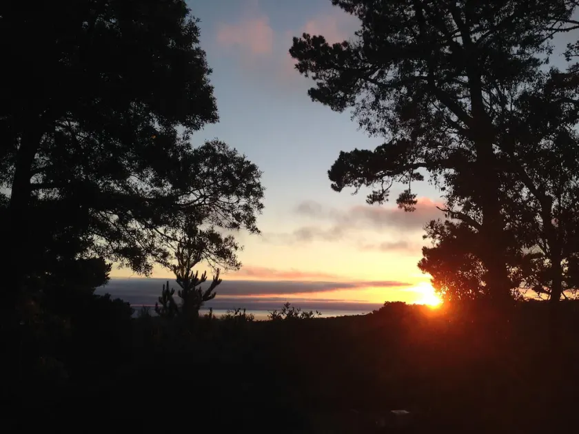 Privé Carmel Woods, Dog Friendly, par Monterey, Pebble Beach, Big Sur - Image 1