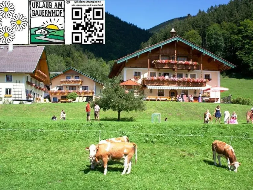 Am Ferienbauernhof Schmiedbauer com Salzkammergut - Image 1