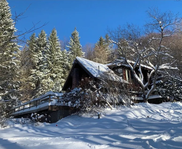 Ski chalet - Image 1