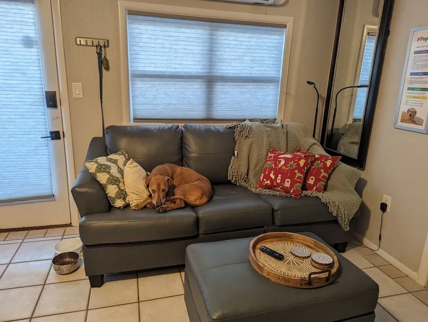 112-6East21 · Wildwoof Beach Bungalow @ NW. 3 kvarter till stranden! - Image 1