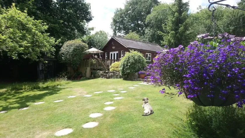 'Monktonmead Lodge' in secluded setting, with private indoor pool. - Image 1