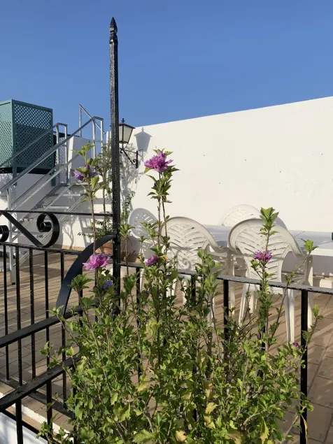 ANDALOUSIAN HOUSE WITH PATIO AND TERRACE-ROOF - Image 1