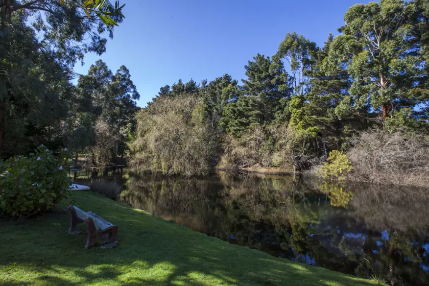 Escape to Valley View Nature Retreat – A Hidden Sanctuary in Apollo Bay - Image 1