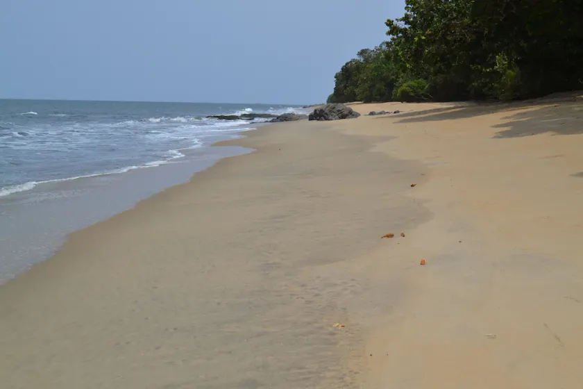 Hotel Tara Plage - Image 1