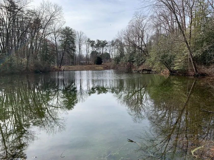 Peaceful Pond Retreat offers a home away from home! - Image 1