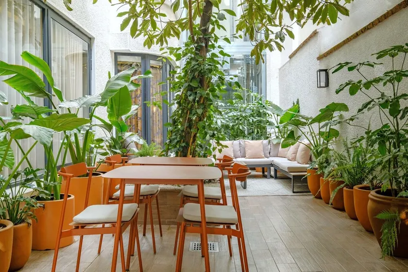 District Polanco by Lumina - Image 1