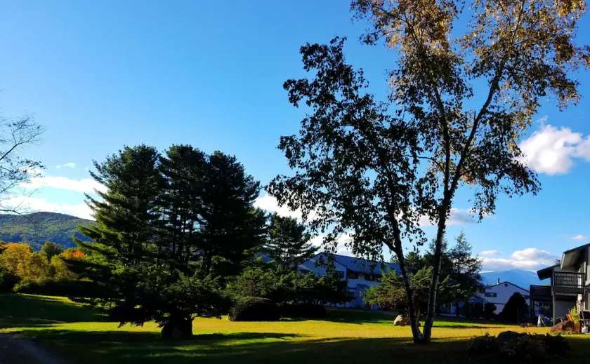 LOCATION, COMFORT & VIEWS IN THE WHITE MOUNTAINS! - Image 1
