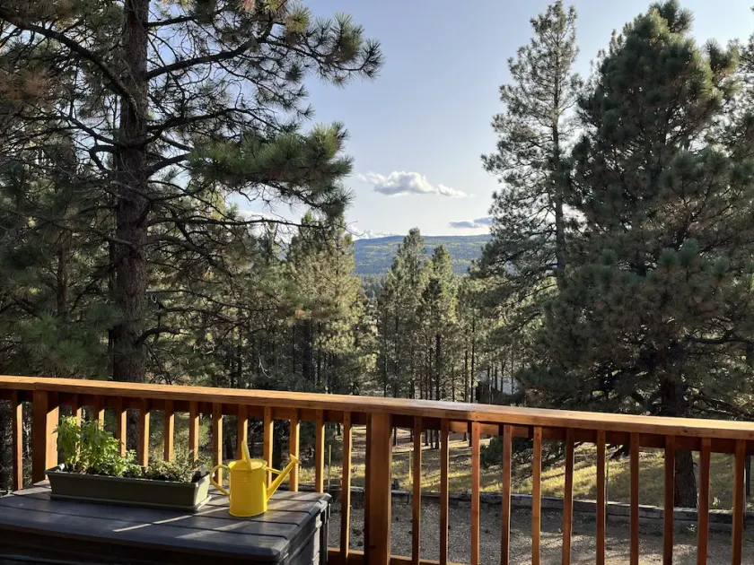 Cozy cabin in the woods. 12 min from the Angel Fire ski resort; 6 to golf course - Image 1