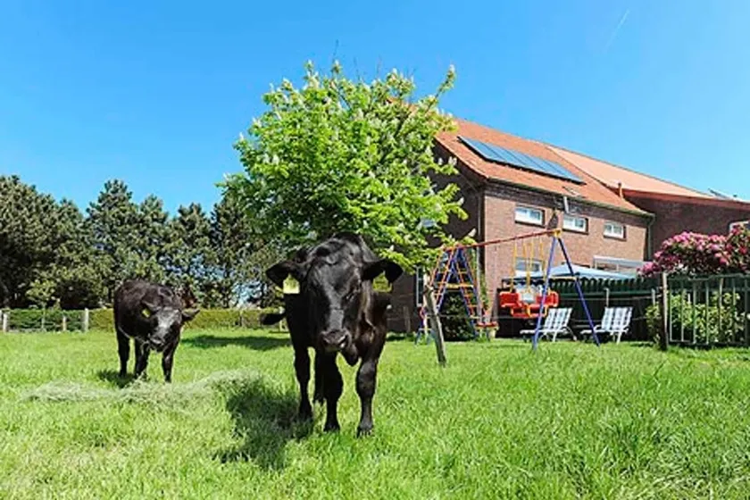 Ferienwohnung auf dem Ferienhof Janssen - Image 1