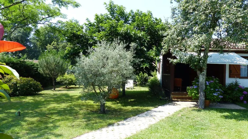 Maison avec jardin privé à 6 kms des plages landaise (9 kms par piste cyclable) - Image 1