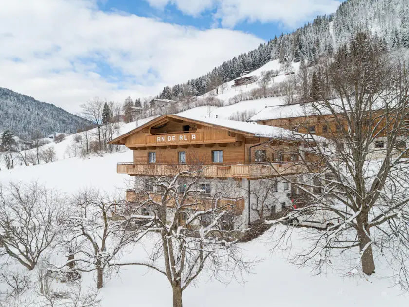 Beautiful apartment with garden near ski resort - Image 1